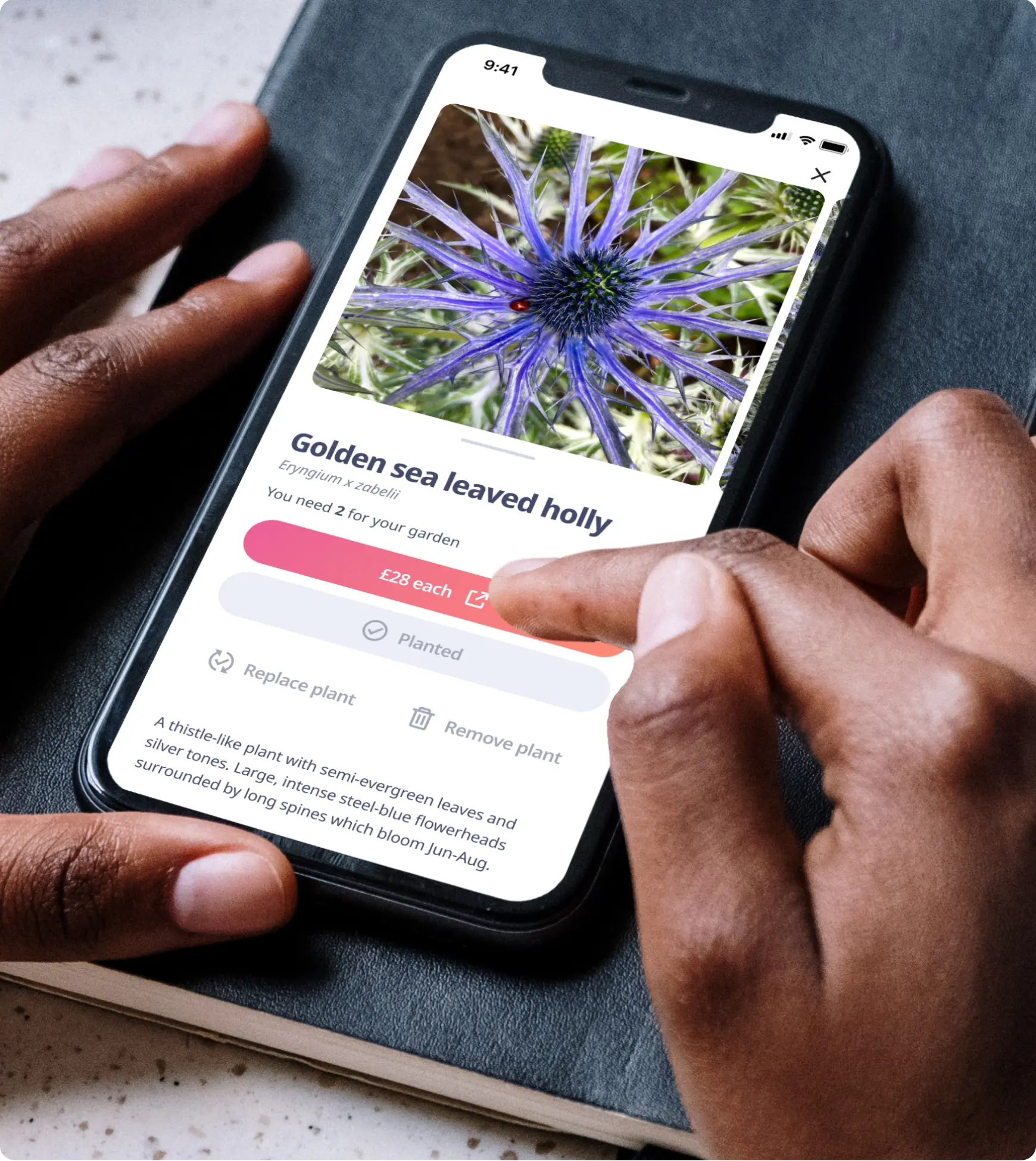 HOTA case study UI examples