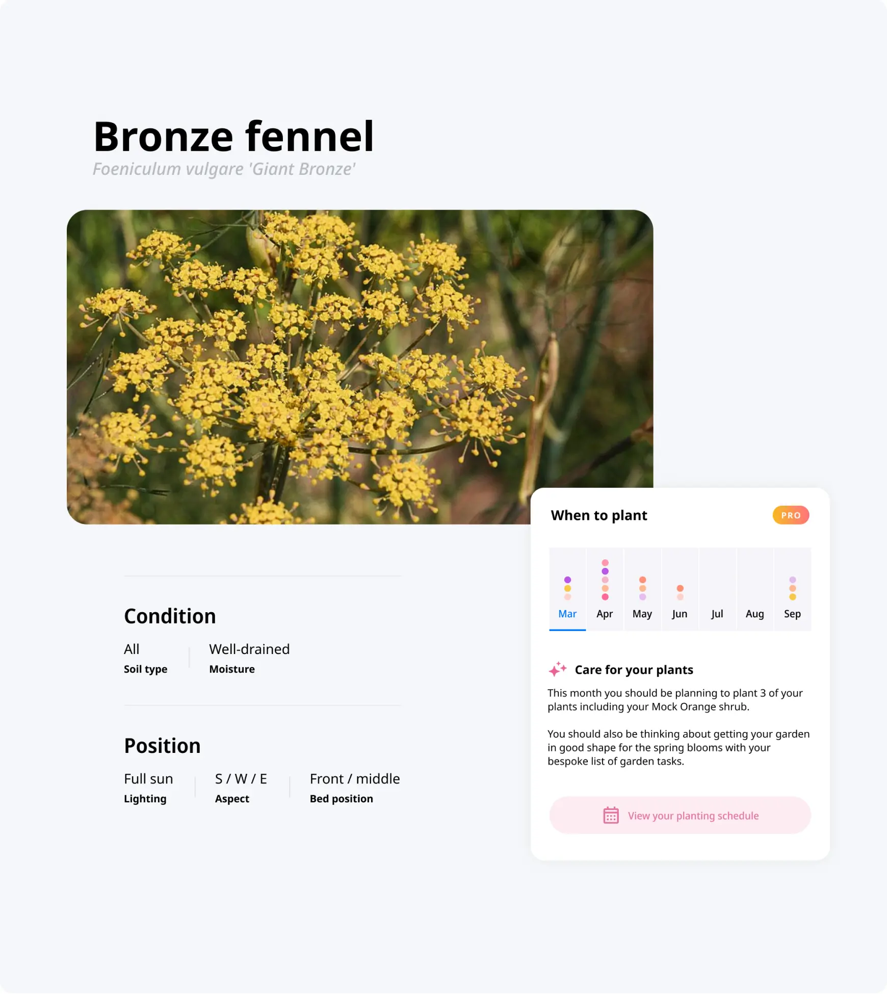 HOTA case study UI examples