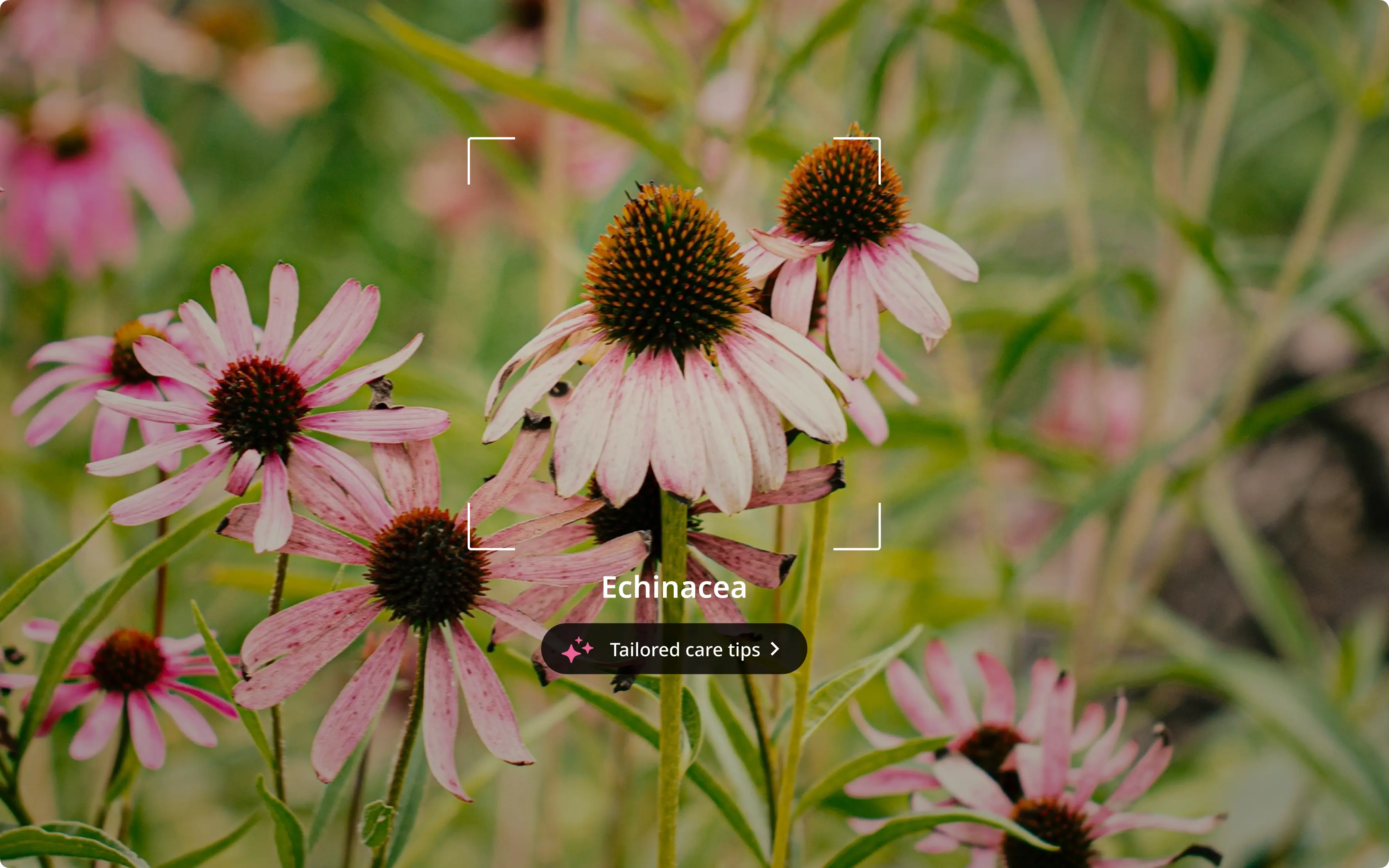 HOTA case study UI examples